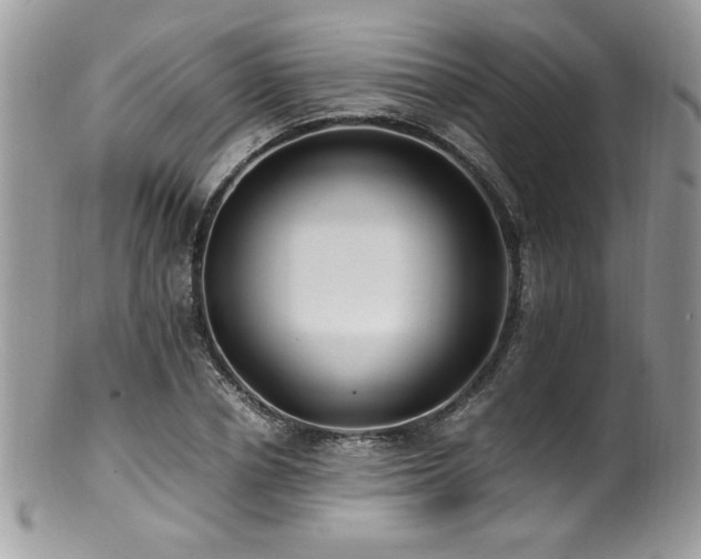 X0000100850834200806201212