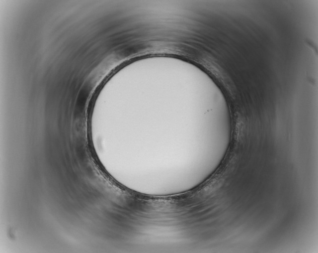 X0000100850836200806201212