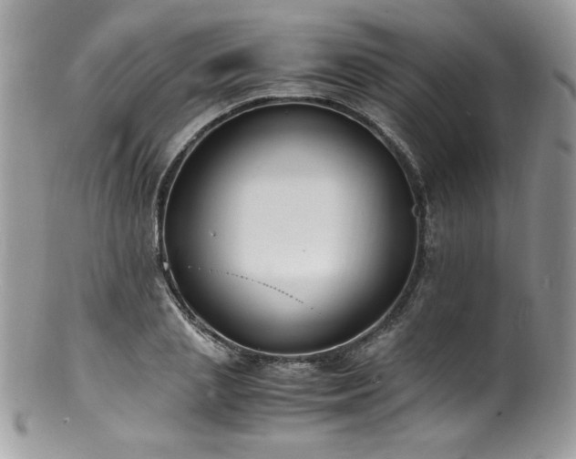 X0000100850837200806201212