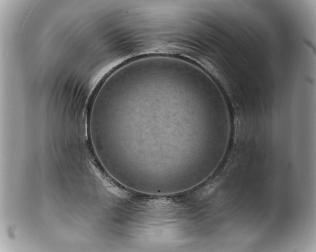 X0000100850838200806201212