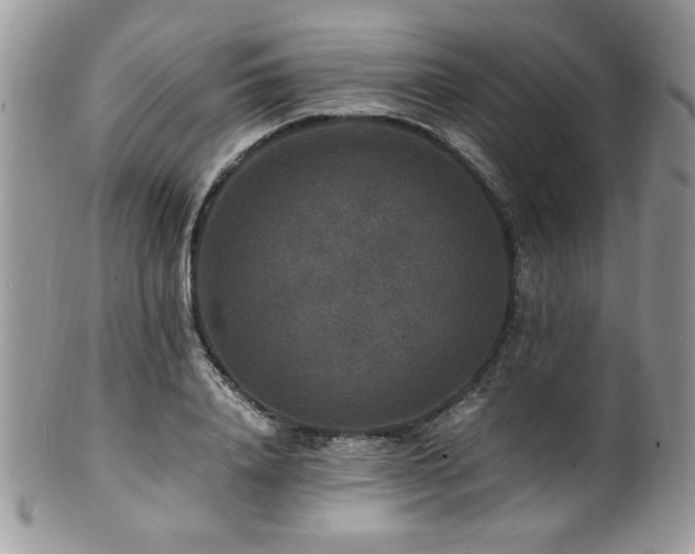 X0000100850840200806201212