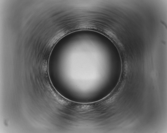 X0000100850841200806201212