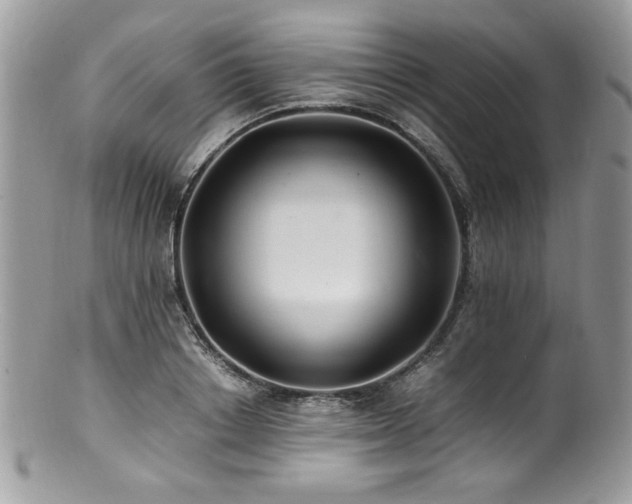 X0000100850842200806201212