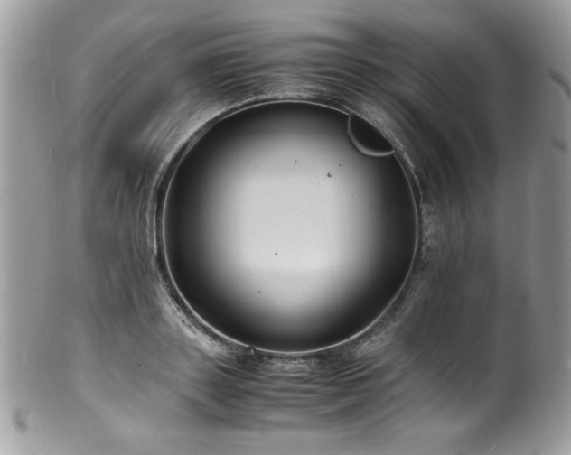 X0000100850843200806201212