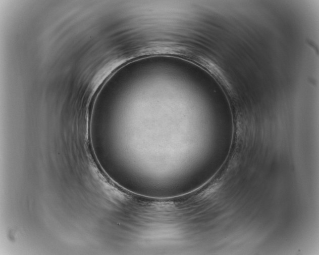 X0000100850844200806201212