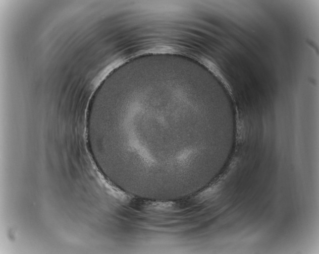 X0000100850845200806201212
