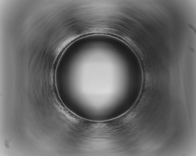 X0000100850846200806201212