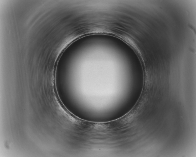 X0000100850847200806201212