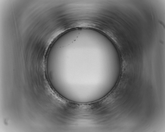 X0000100850848200806201212