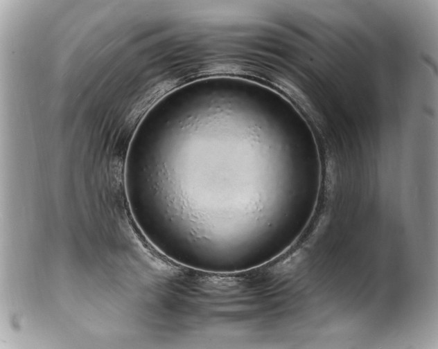X0000100850849200806201212
