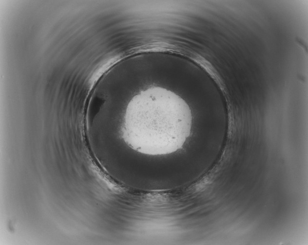 X0000100850850200806201212