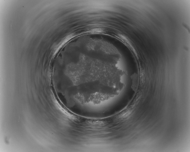 X0000100850851200806201212