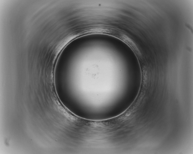 X0000100850852200806201212