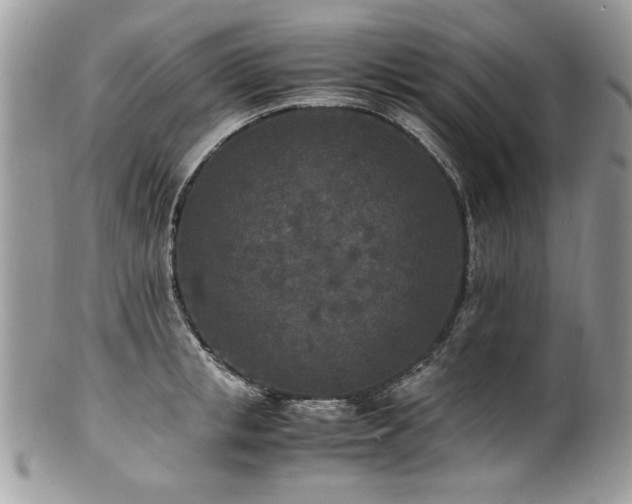 X0000100850853200806201212