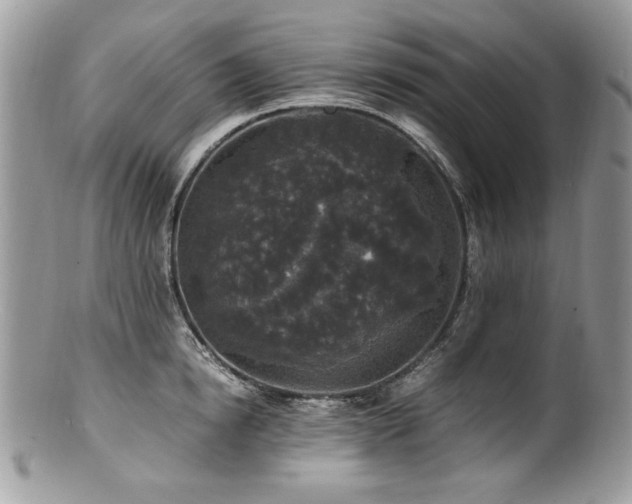X0000100850854200806201212