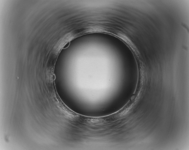 X0000100850857200806201212