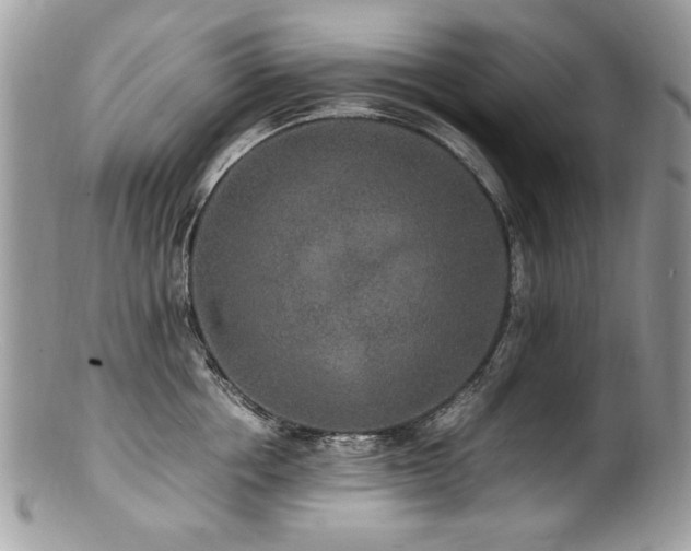 X0000100850858200806201212
