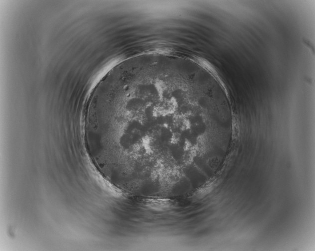 X0000100850859200806201212