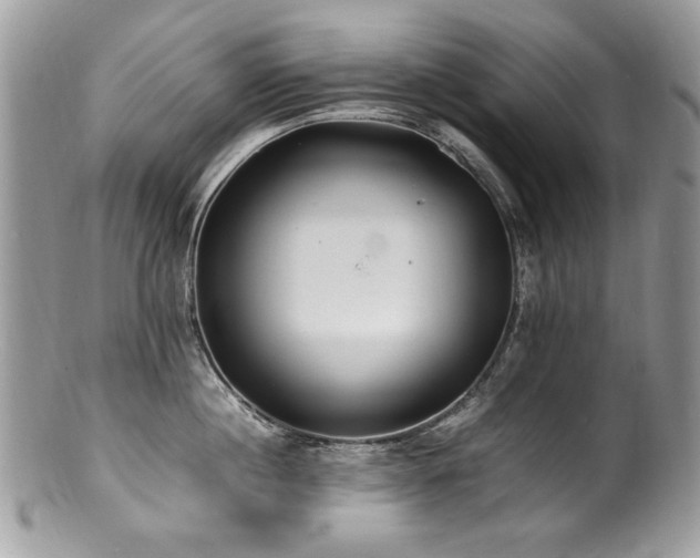 X0000100850860200806201212