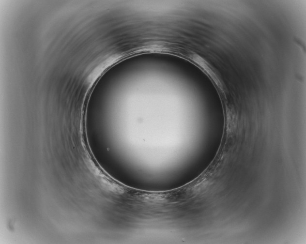 X0000100850861200806201212
