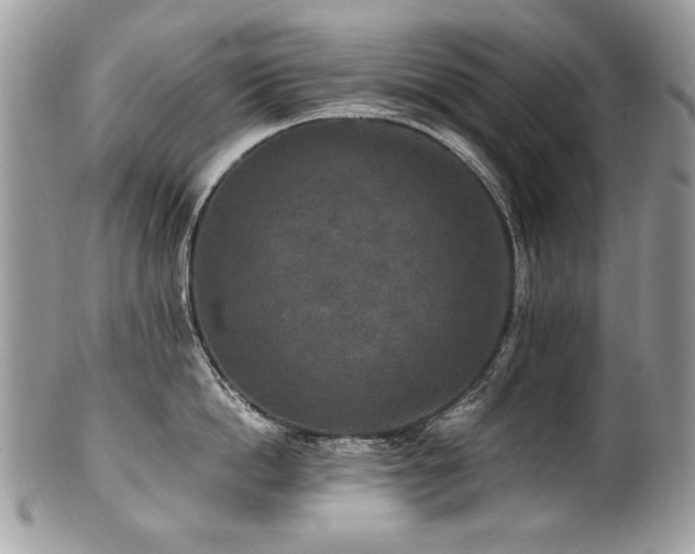X0000100850862200806201212