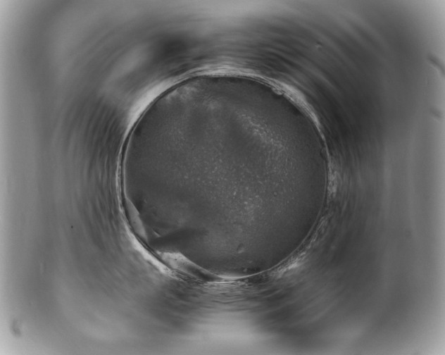 X0000100850863200806201212