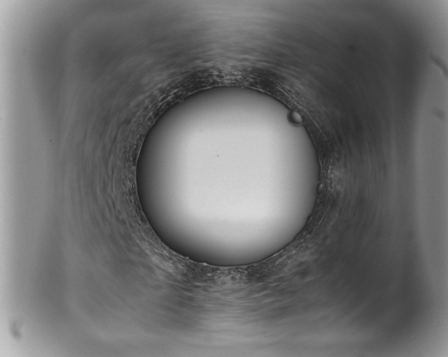 X0000100850865200806201212