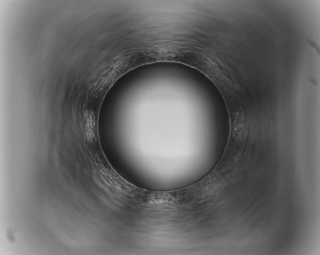 X0000100850866200806201212