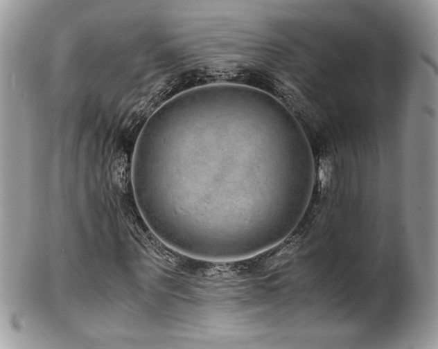 X0000100850867200806201212
