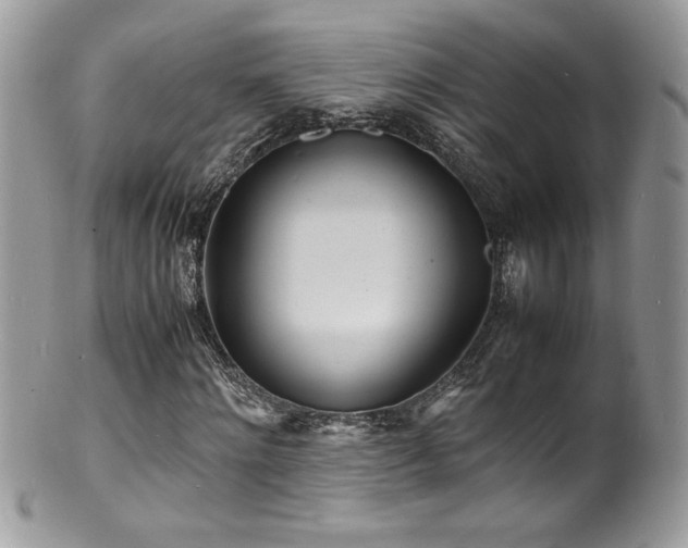 X0000100850868200806201212