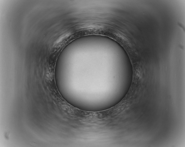 X0000100850869200806201212