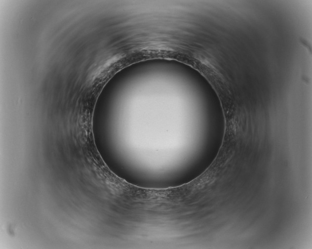 X0000100850870200806201212