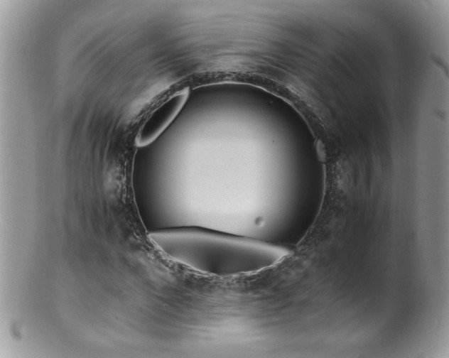 X0000100850872200806201211