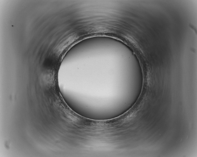 X0000100850873200806201211