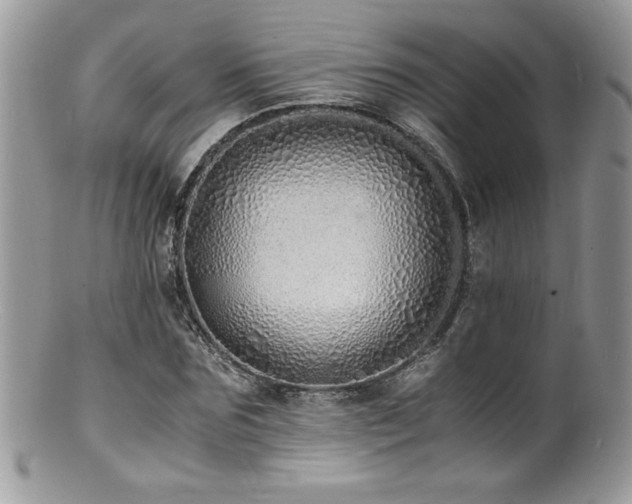 X0000100850875200806201211