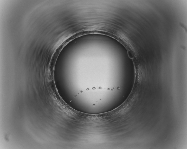 X0000100850876200806201211