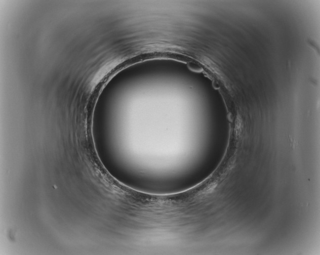 X0000100850877200806201211