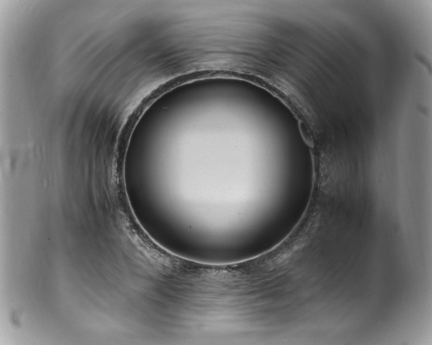 X0000100850880200806201211