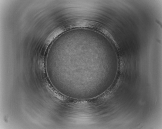 X0000100850882200806201211