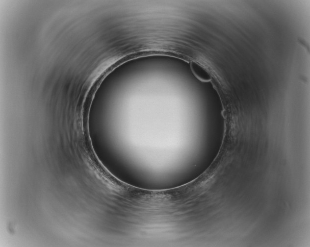 X0000100850884200806201211