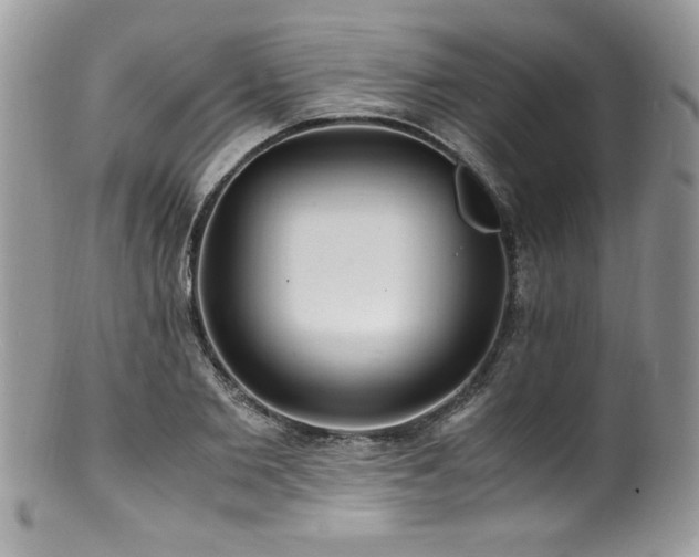 X0000100850885200806201211