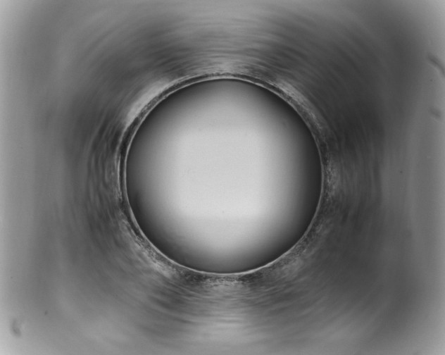 X0000100850886200806201211