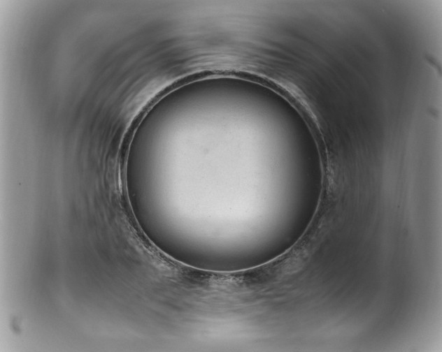 X0000100850887200806201211