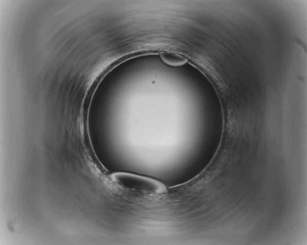 X0000100850888200806201211