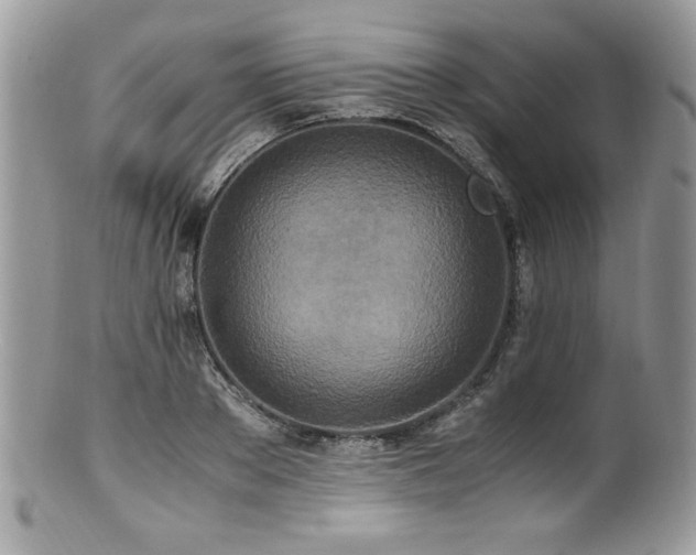 X0000100850889200806201211