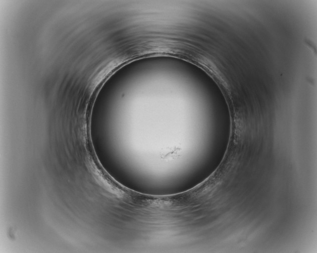 X0000100850890200806201211