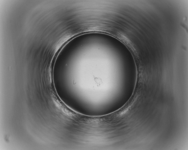 X0000100850892200806201211