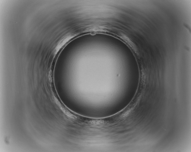 X0000100850893200806201211