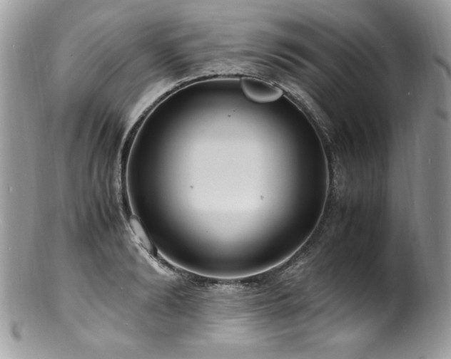 X0000100850894200806201211