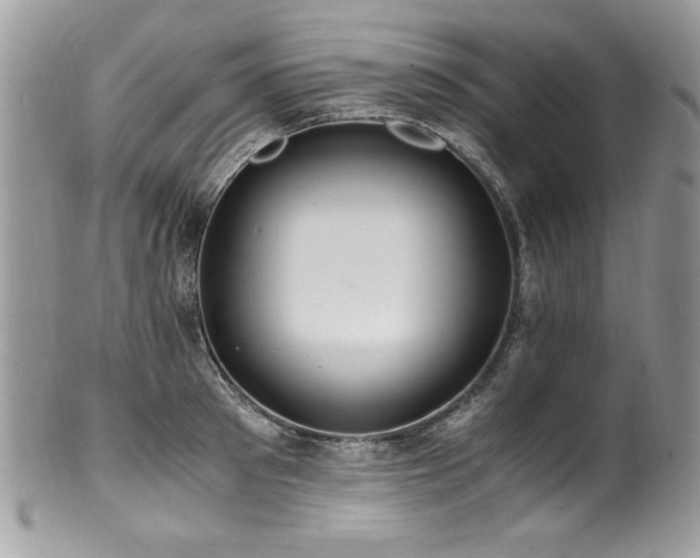 X0000100850897200806201211